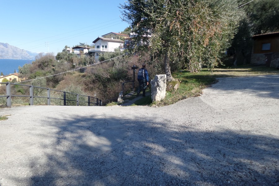 Indicazioni