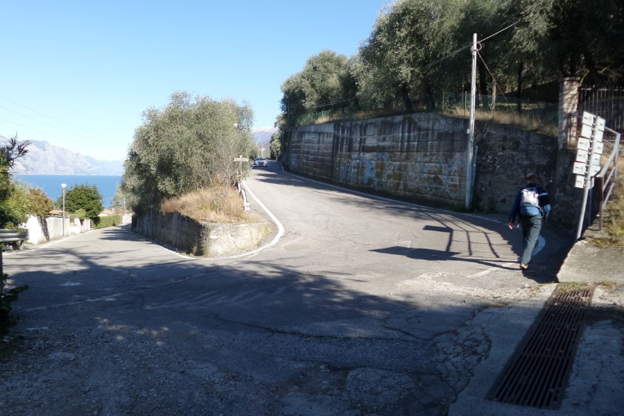 Indicazioni