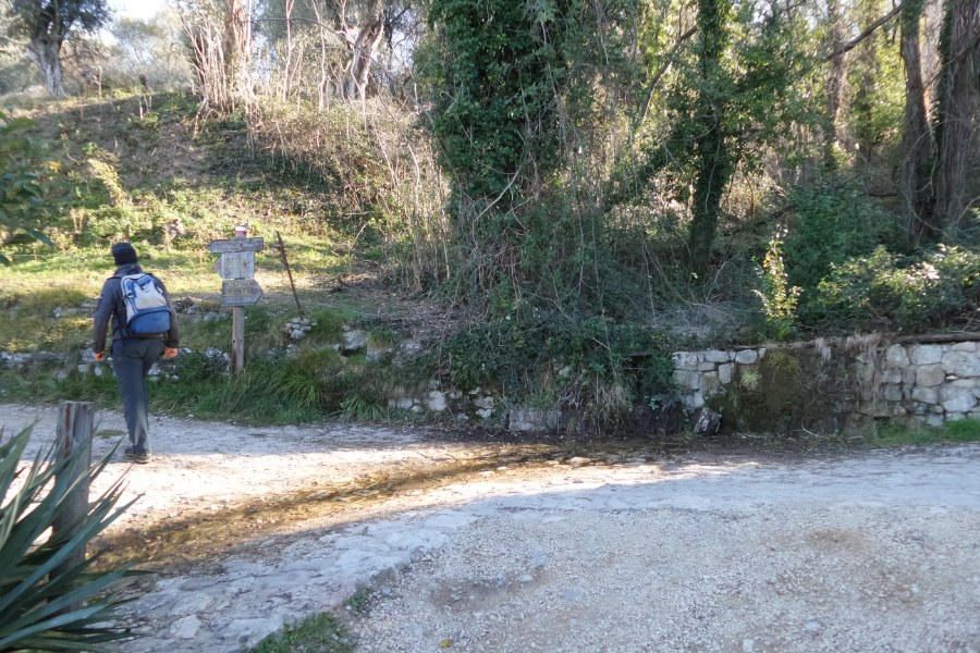 Indicazioni