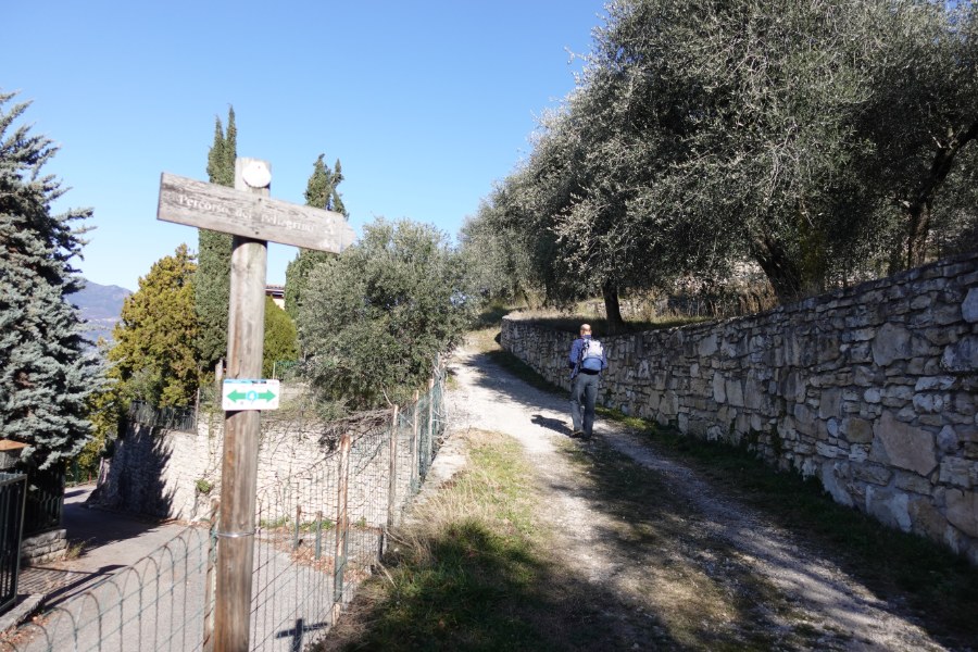 Indicazioni