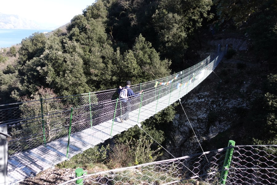 Ponte