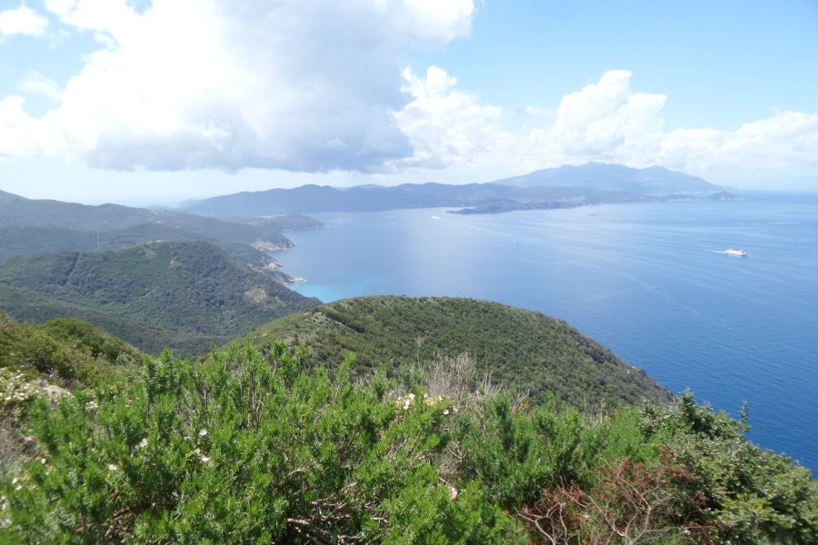 Cima