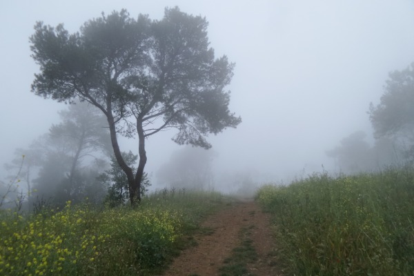 Monte Orello
376 m