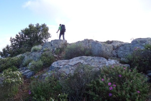 Monte Strega
427 m