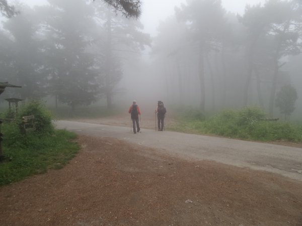 Attraversamento
