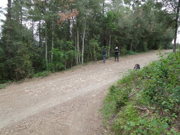 Bivio
prendere a destra