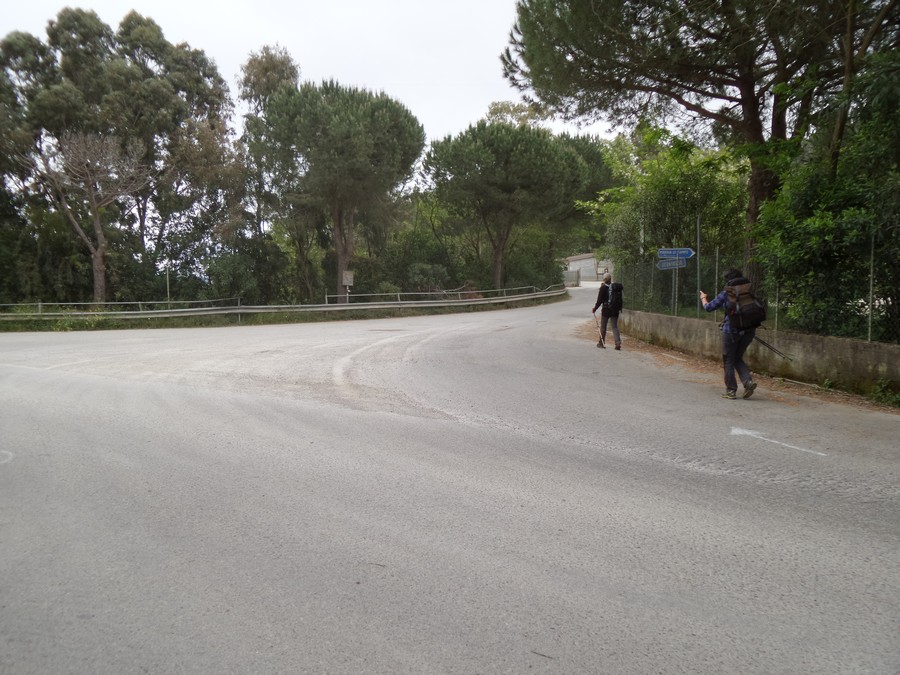 Bivio stradale