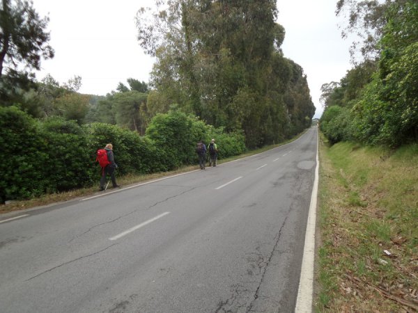 Bivio
immettersi sulla strada provinciale