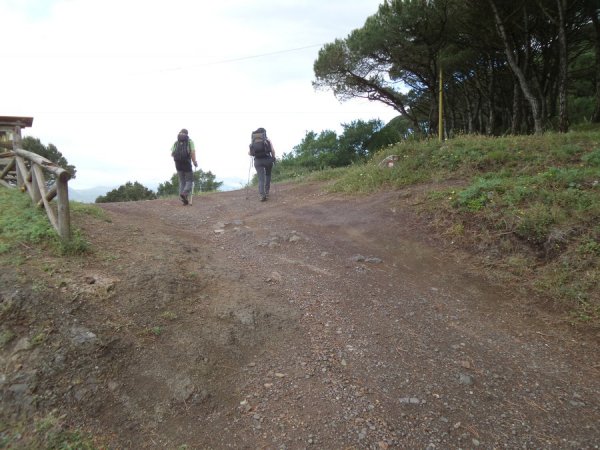 Bivio
prendere a destra