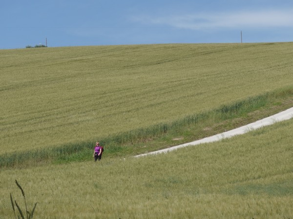 Marche