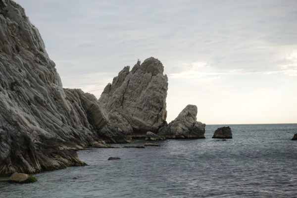 Spiaggia delle Due Sorelle
gabbiano