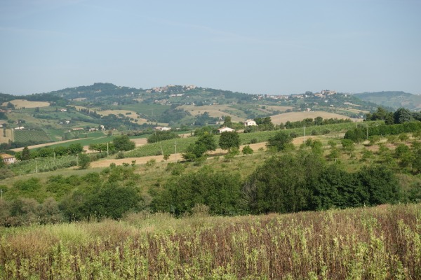 Panorama verso Monteroberto e Castelbellino
dalla strada per Santa Maria Nuova