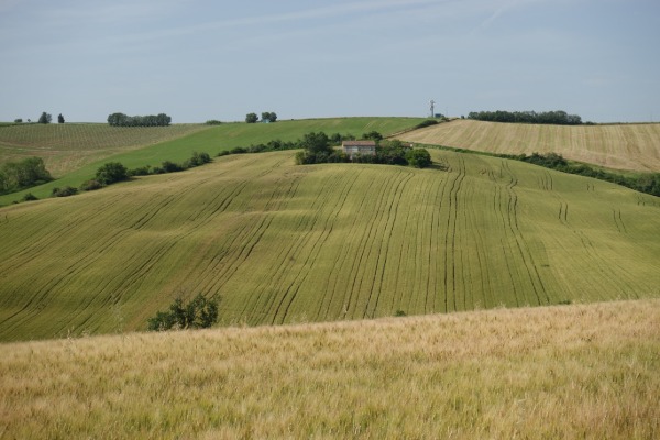 Paesaggio collinare
lungo la strada per Santa Maria Nuova