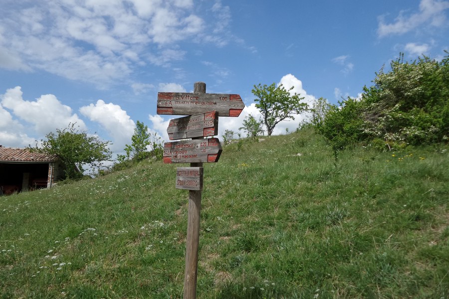 Indicazioni