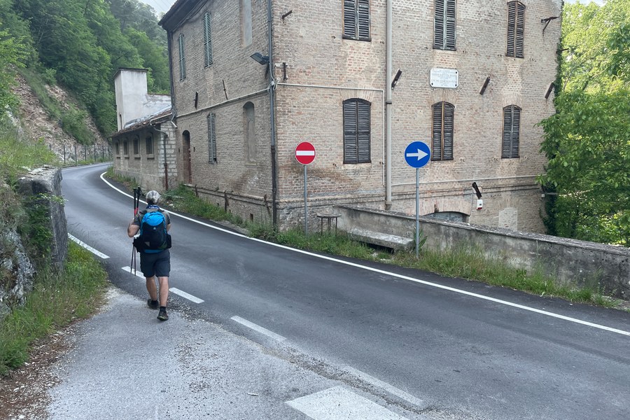 Bivio stradale