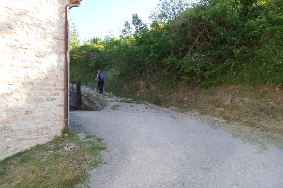Luogo