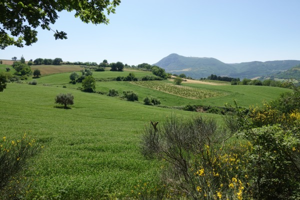 Colline e Monte Murano
dalla strada verso Sasso