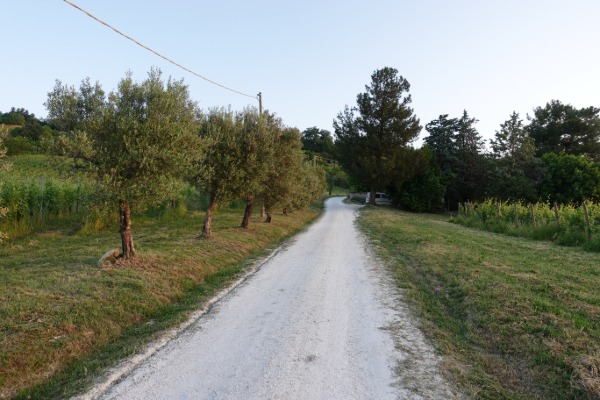 In cammino
verso San Paolo di Jesi