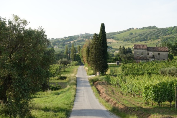 In cammino
in prossimità di San Paolo di Jesi