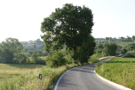 In cammino
in prossimità di San Paolo di Jesi