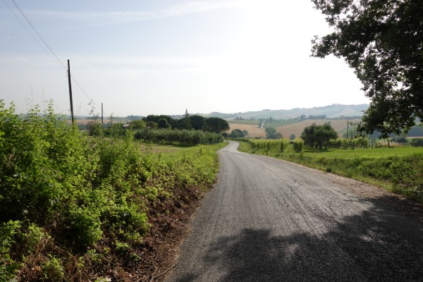 In cammino
dopo San Paolo di Jesi