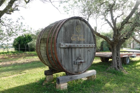 Azienda Agricola
dopo San Paolo di Jesi