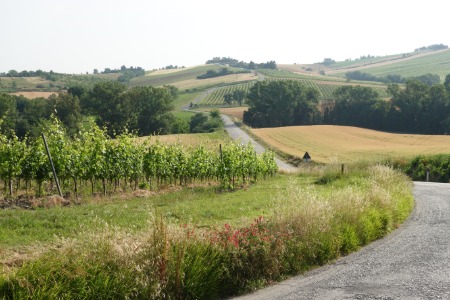 In cammino
verso Santa Maria Nuova