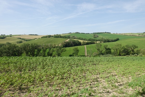 Paesaggio collinare
in prossimità di Santa Maria Nuova