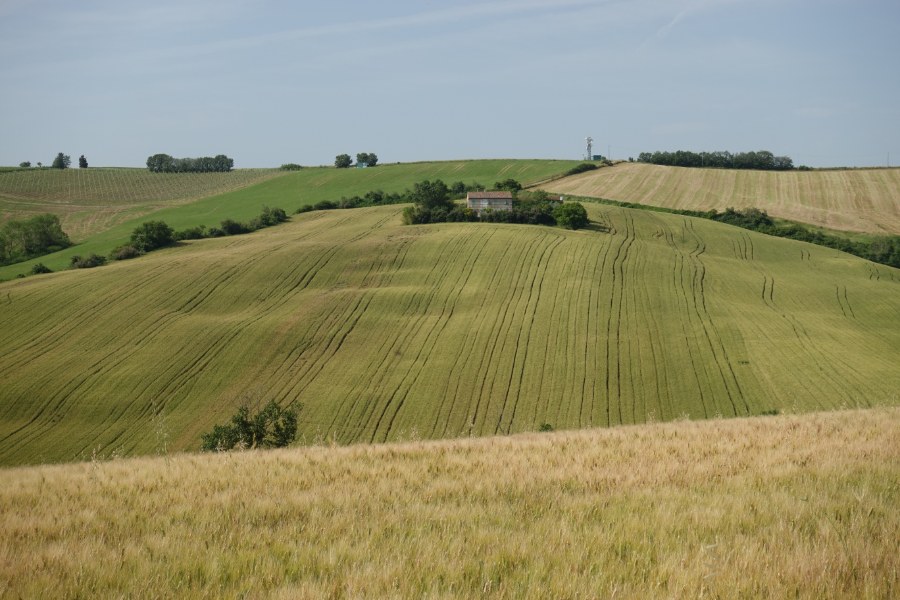 Paesaggio collinare
in prossimità di Santa Maria Nuova
