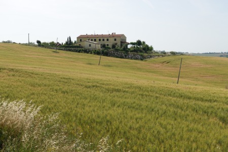 Casale di collina
in prossimità di Santa Maria Nuova