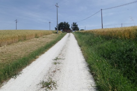 In cammino
per la scorciatoia dell'osservatorio