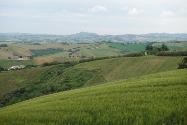 Panorama
dai pressi di Santa Maria Nuova
