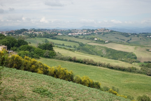 Panorama su Santa Maria Nuova
dai pressi di Monti