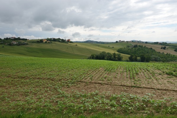 Panorama
dalla strada per Rustico