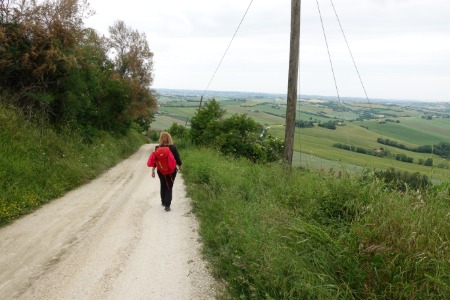 In cammino
verso Polverigi