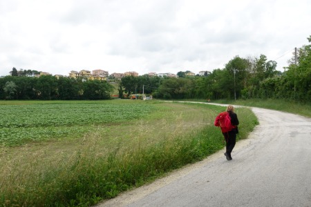 In cammino
in vista di Polverigi