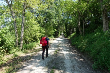 In cammino
verso Offagna