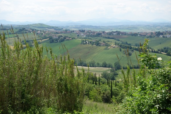 Panorama
dai pressi di Offagna