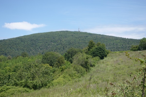 Panorama con Monte Conero
dal sentiero per Massignano