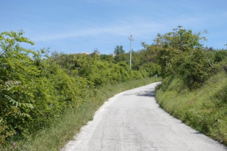 In cammino
verso Massignano