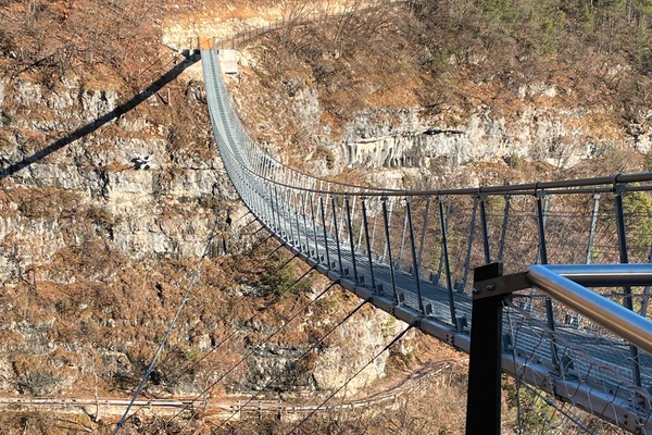 Monte di Mezzocorona
ponte sospeso