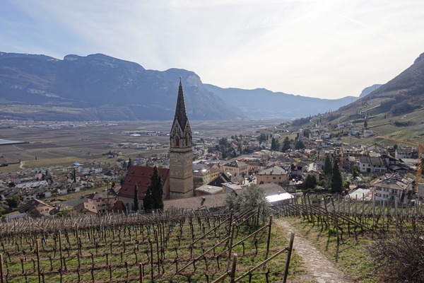 Termeno
Tramin