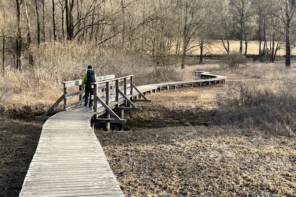 Laghi di Terlago
biotopo del bacino meridionale
