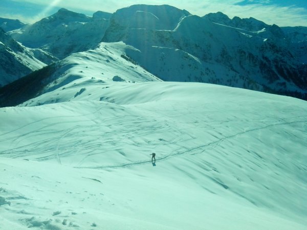 qualcuno arriva dalla Certosa