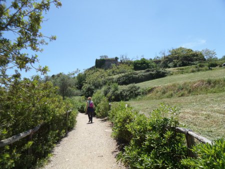 Passeggiando tra gli oleandri 