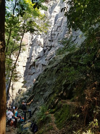 Palestra di roccia
