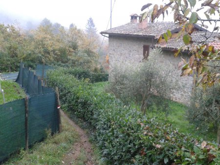 /treks/europe/it/lu/mediavalle/barga/barga/2015-11-11-08-10-23/image.jpg