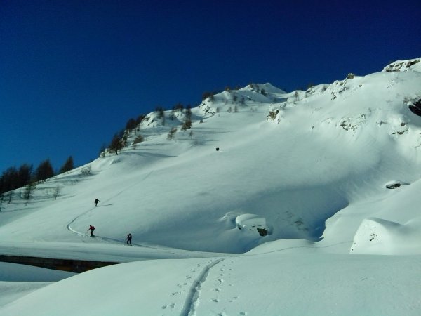 Malga
