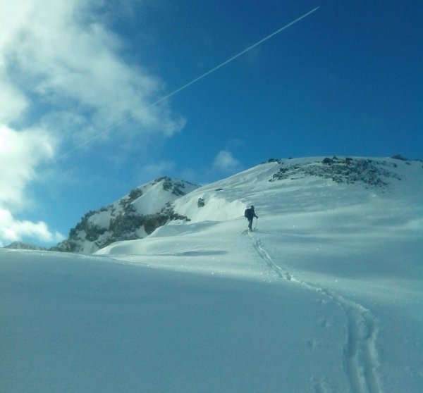 Sella
