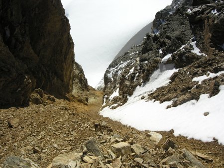 /treks/europe/it/ao/alpi-graie/massiccio-del-gran-paradiso/gran-paradiso-est/in-discesa/image.jpg